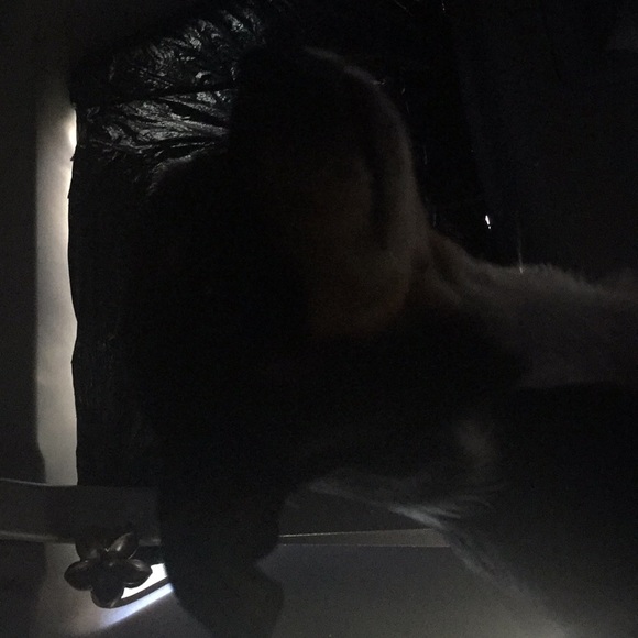 Meet your Posher, Jennifer - Picture 1 of 1